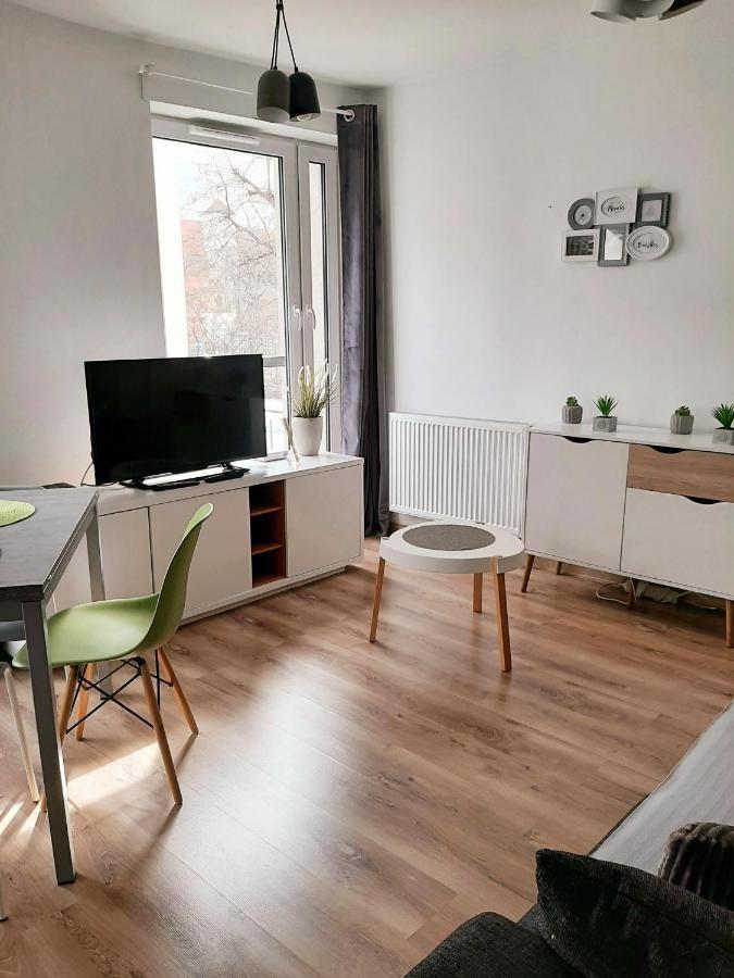 Good Time Apartments Strzelecka C Poznan Bagian luar foto